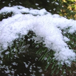 Decor Snow Powder 1 kg